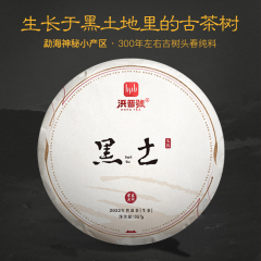 【春茶现货】2022年洪普号 黑土 生茶 357克/饼