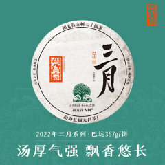 【春茶现货】2022年福元昌 三月系列 巴达 头春正山纯料 生茶 357克/饼 1饼