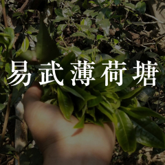 【春茶预售】2023年易武薄荷塘 头春纯料散茶 生茶 250克